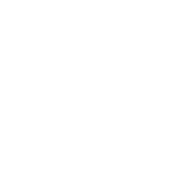 دليل green bunny